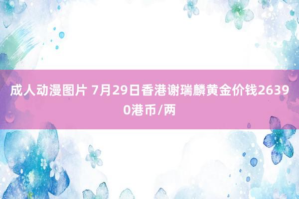 成人动漫图片 7月29日香港谢瑞麟黄金价钱26390港币/两