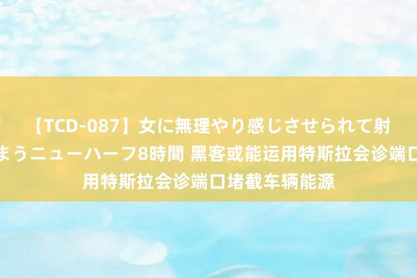 【TCD-087】女に無理やり感じさせられて射精までしてしまうニューハーフ8時間 黑客或能运用特斯拉会诊端口堵截车辆能源