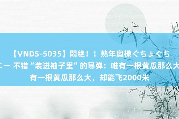 【VNDS-5035】悶絶！！熟年奥様ぐちょぐちょディルドオナニー 不错“装进袖子里”的导弹：唯有一根黄瓜那么大，却能飞2000米