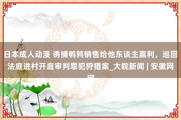 日本成人动漫 诱捕鹌鹑销售给他东谈主赢利，巡回法庭进村开庭审判罪犯狩猎案_大皖新闻 | 安徽网