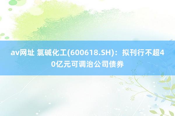 av网址 氯碱化工(600618.SH)：拟刊行不超40亿元可调治公司债券