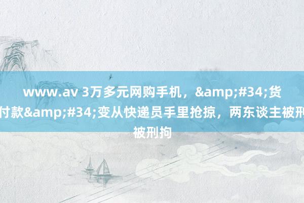 www.av 3万多元网购手机，&#34;货到付款&#34;变从快递员手里抢掠，两东谈主被刑拘