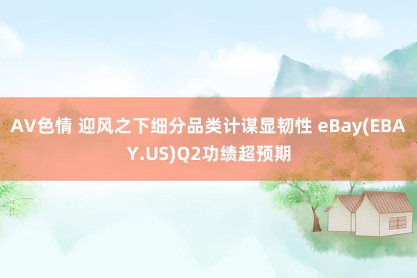 AV色情 迎风之下细分品类计谋显韧性 eBay(EBAY.US)Q2功绩超预期