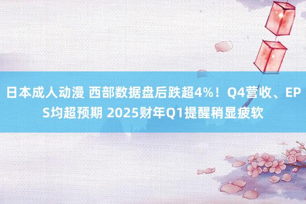 日本成人动漫 西部数据盘后跌超4%！Q4营收、EPS均超预期 2025财年Q1提醒稍显疲软