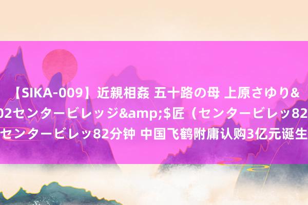 【SIKA-009】近親相姦 五十路の母 上原さゆり</a>2009-04-02センタービレッジ&$匠（センタービレッ82分钟 中国飞鹤附庸认购3亿元诞生银行金融家具