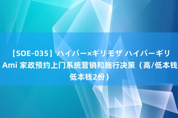 【SOE-035】ハイパー×ギリモザ ハイパーギリモザ Ami 家政预约上门系统营销和施行决策（高/低本钱2份）