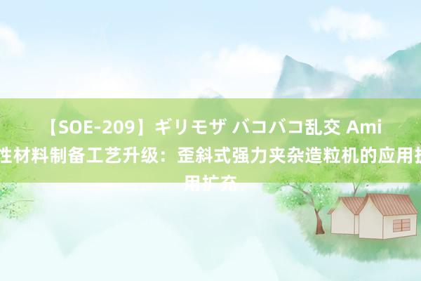 【SOE-209】ギリモザ バコバコ乱交 Ami 磁性材料制备工艺升级：歪斜式强力夹杂造粒机的应用扩充