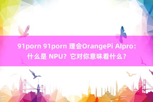 91porn 91porn 理会OrangePi AIpro：什么是 NPU？它对你意味着什么？