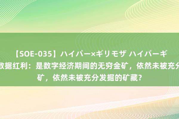 【SOE-035】ハイパー×ギリモザ ハイパーギリモザ Ami 数据红利：是数字经济期间的无穷金矿，依然未被充分发掘的矿藏？