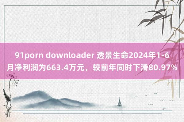 91porn downloader 透景生命2024年1-6月净利润为663.4万元，较前年同时下滑80.97%