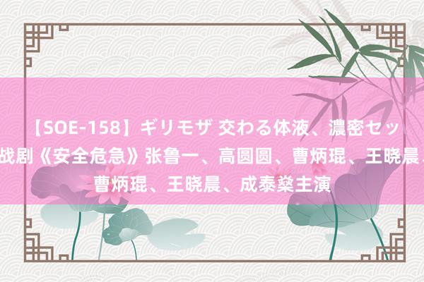 【SOE-158】ギリモザ 交わる体液、濃密セックス Ami 谍战剧《安全危急》张鲁一、高圆圆、曹炳琨、王晓晨、成泰燊主演