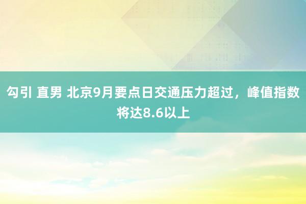 勾引 直男 北京9月要点日交通压力超过，峰值指数将达8.6以上