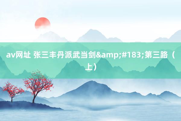 av网址 张三丰丹派武当剑&#183;第三路（上）