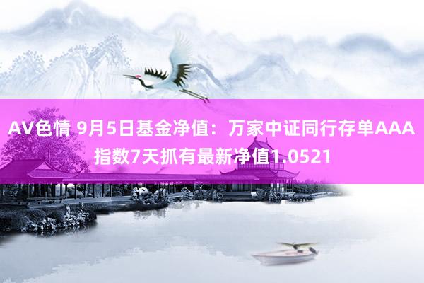 AV色情 9月5日基金净值：万家中证同行存单AAA指数7天抓有最新净值1.0521