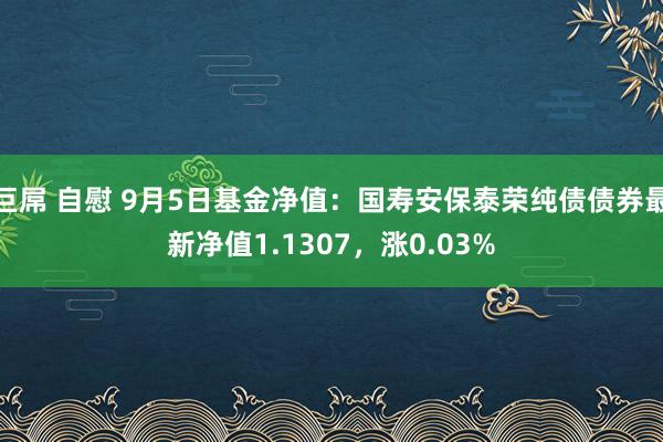 巨屌 自慰 9月5日基金净值：国寿安保泰荣纯债债券最新净值1.1307，涨0.03%