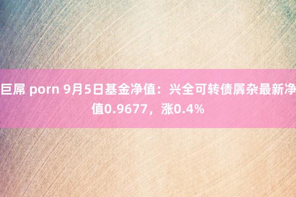 巨屌 porn 9月5日基金净值：兴全可转债羼杂最新净值0.9677，涨0.4%