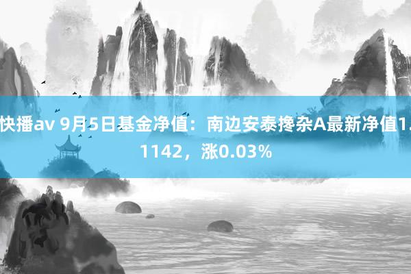 快播av 9月5日基金净值：南边安泰搀杂A最新净值1.1142，涨0.03%