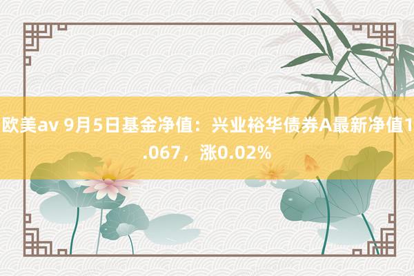 欧美av 9月5日基金净值：兴业裕华债券A最新净值1.067，涨0.02%