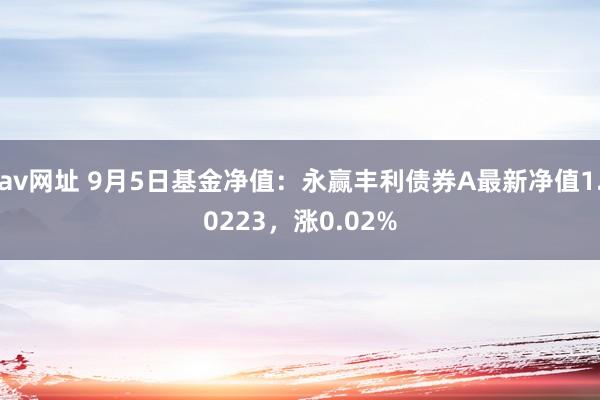 av网址 9月5日基金净值：永赢丰利债券A最新净值1.0223，涨0.02%