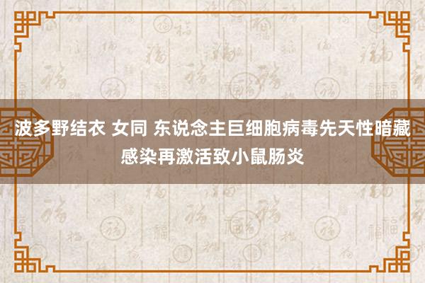 波多野结衣 女同 东说念主巨细胞病毒先天性暗藏感染再激活致小鼠肠炎